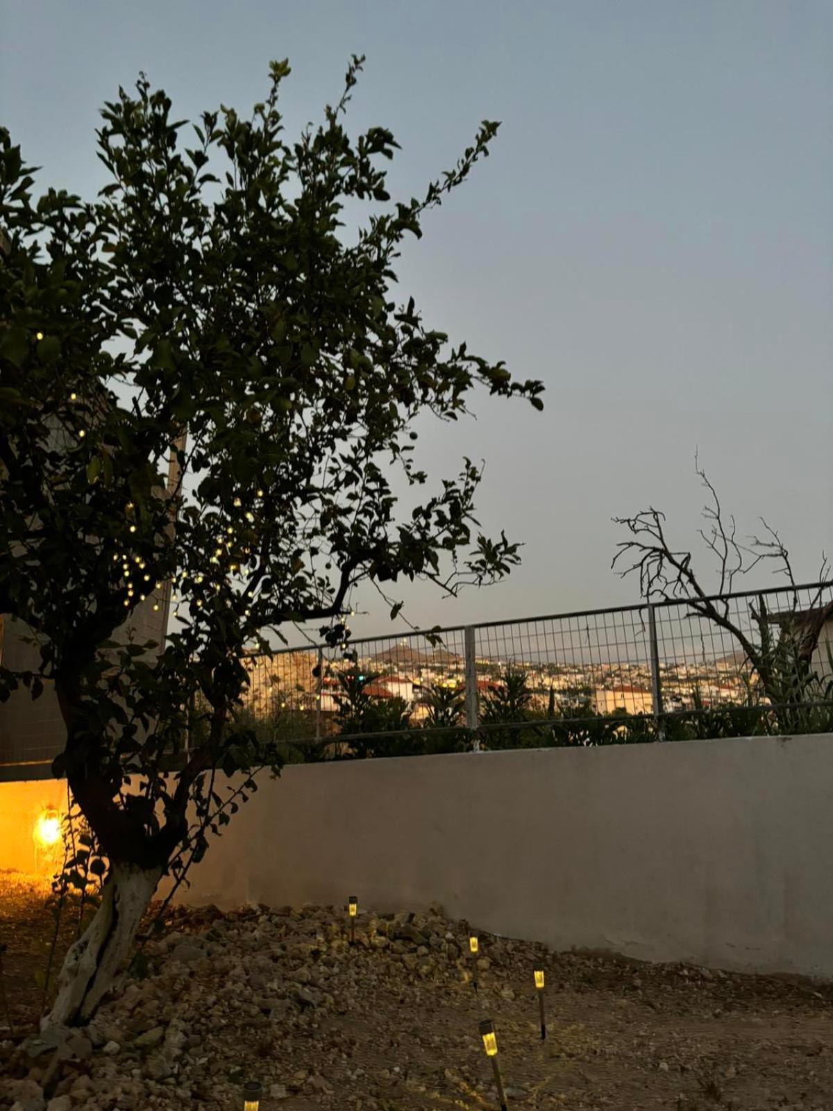 Bibliotheque Vintage Studio & Easy Garden Heraklion Exterior foto